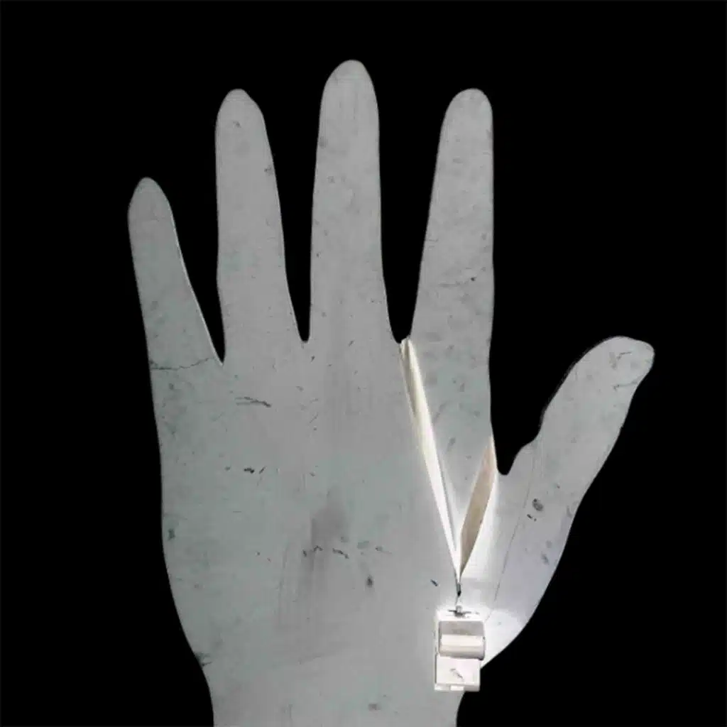 Lady & Bird & Niconé