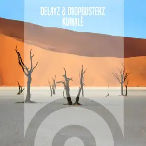 Dropbusterz & Delayz