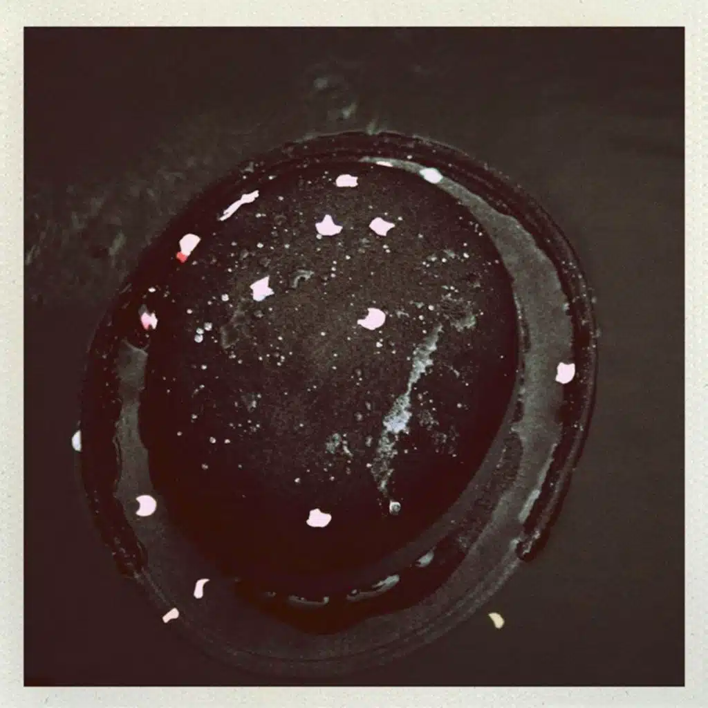 David Hasert & Matteo Luis