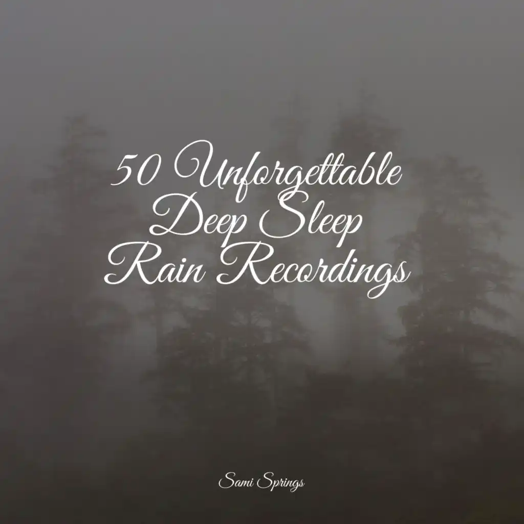 50 Unforgettable Deep Sleep Rain Recordings