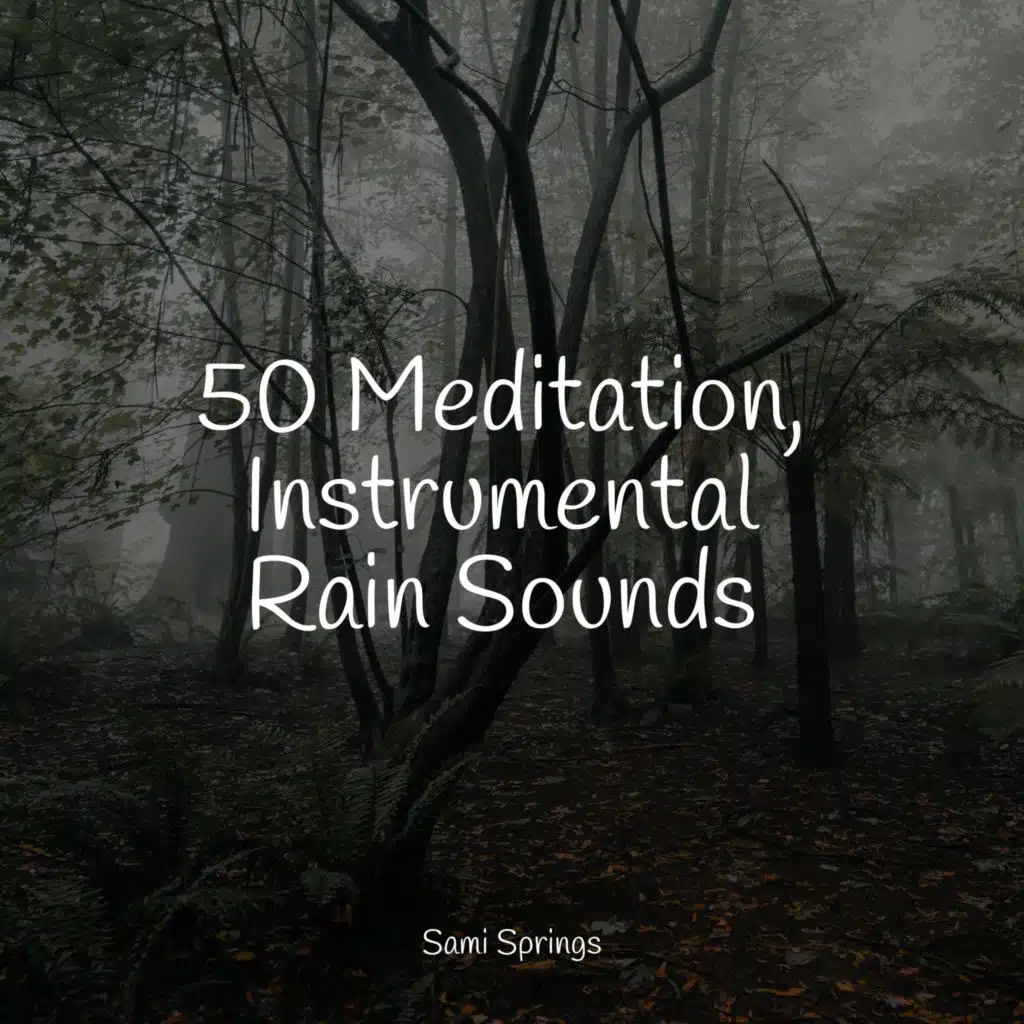 Rain, Leaves, Evening