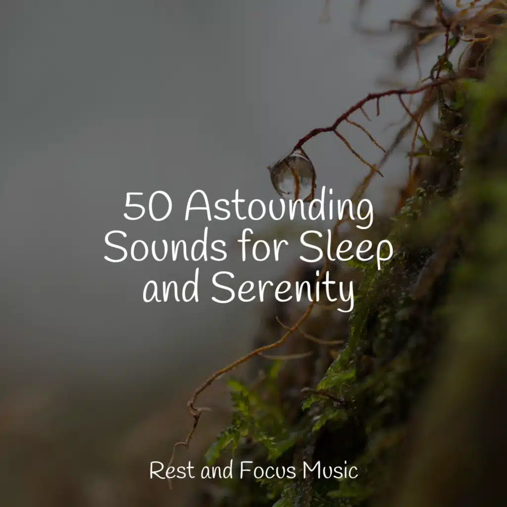 50 Astounding Sounds for Sleep and Serenity
