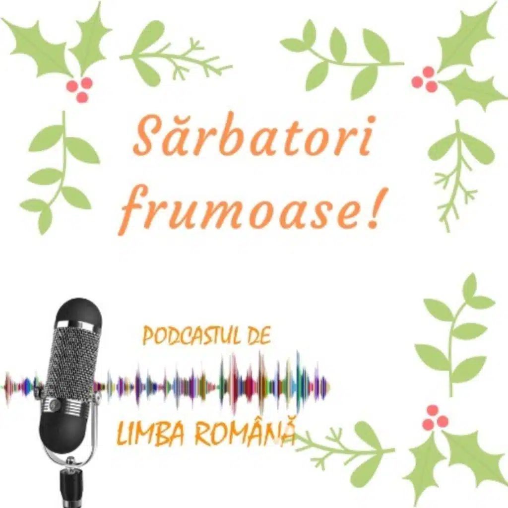 008 - Planuri de sfârșit de an