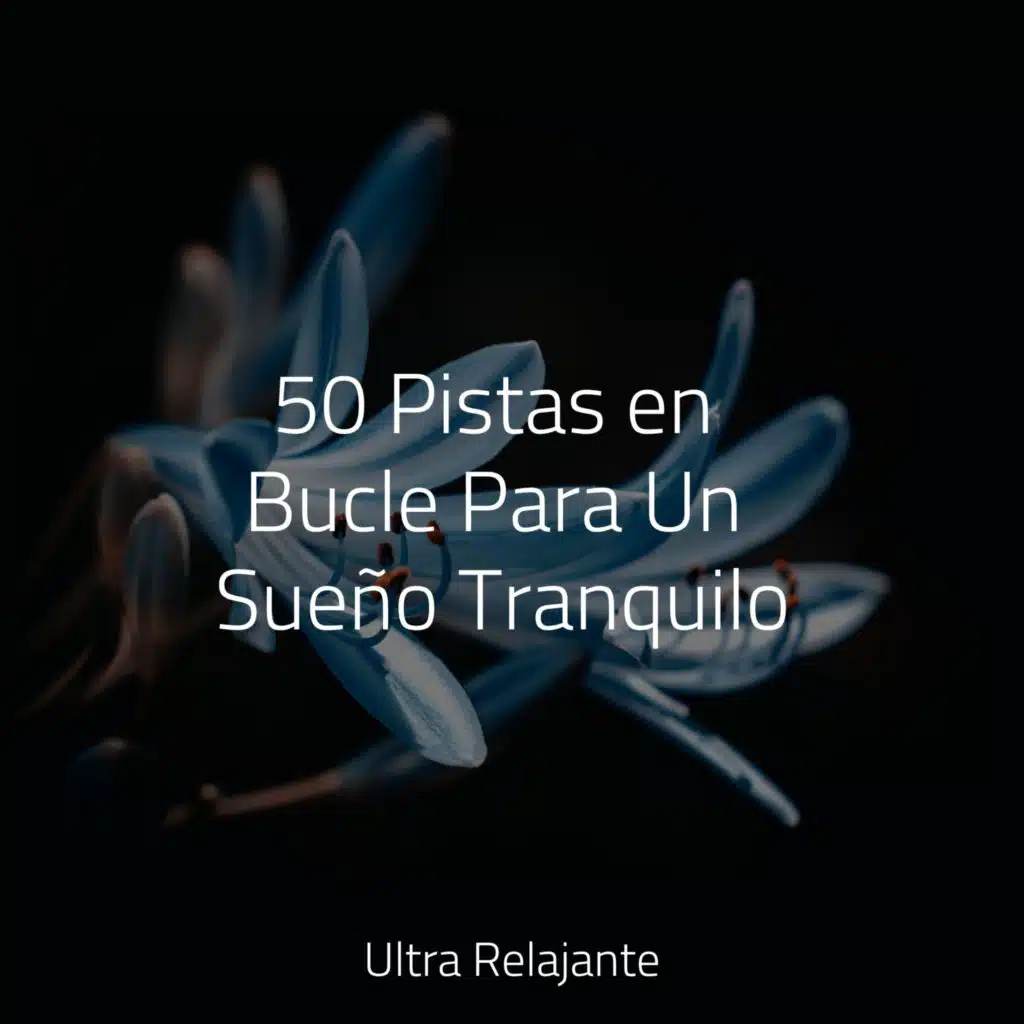 50 Pistas en Bucle Para Un Sueño Tranquilo