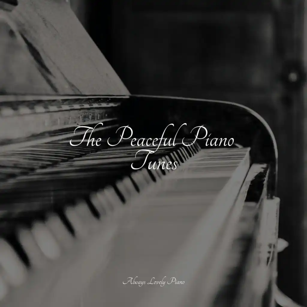 The Peaceful Piano Tunes