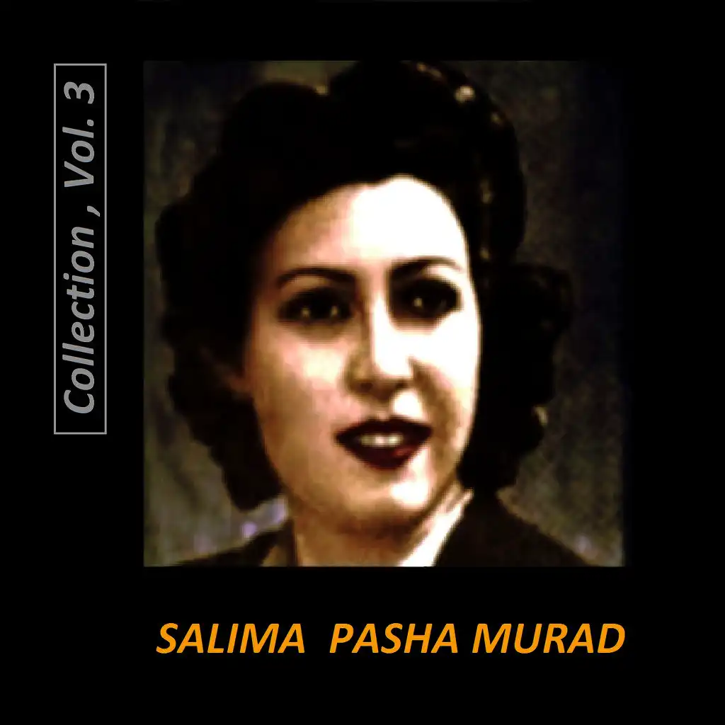 Salima Pasha Murad