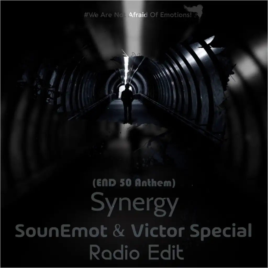 Synergy (END 50 Anthem)(Radio Edit)