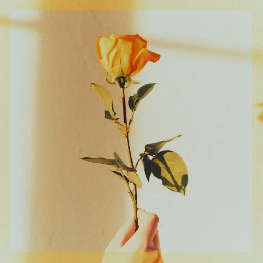 Romantic Homicide - Nightcore Cover