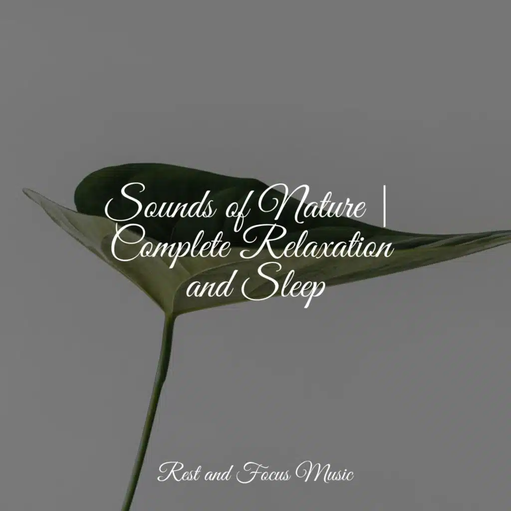 Sounds of Nature | Complete Relaxation and Sleep