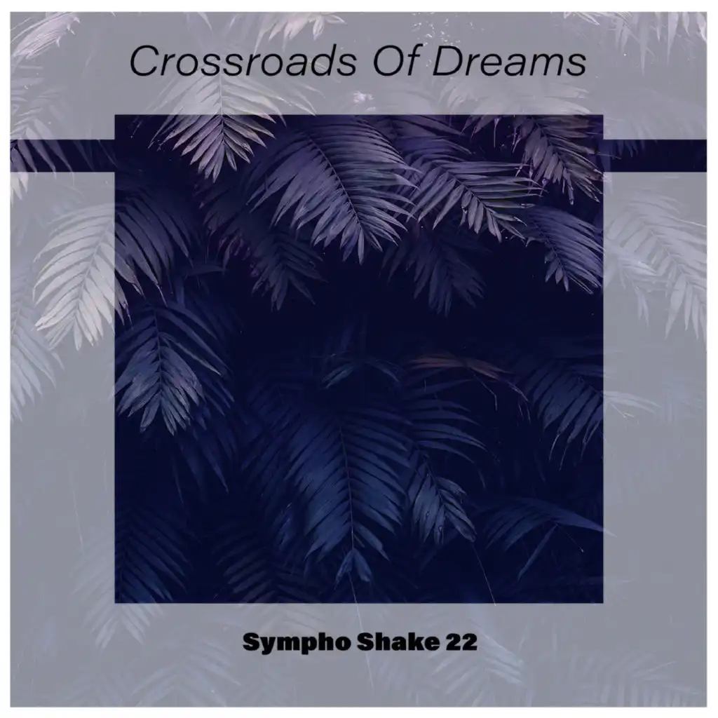 Crossroads Of Dreams Sympho Shake 22