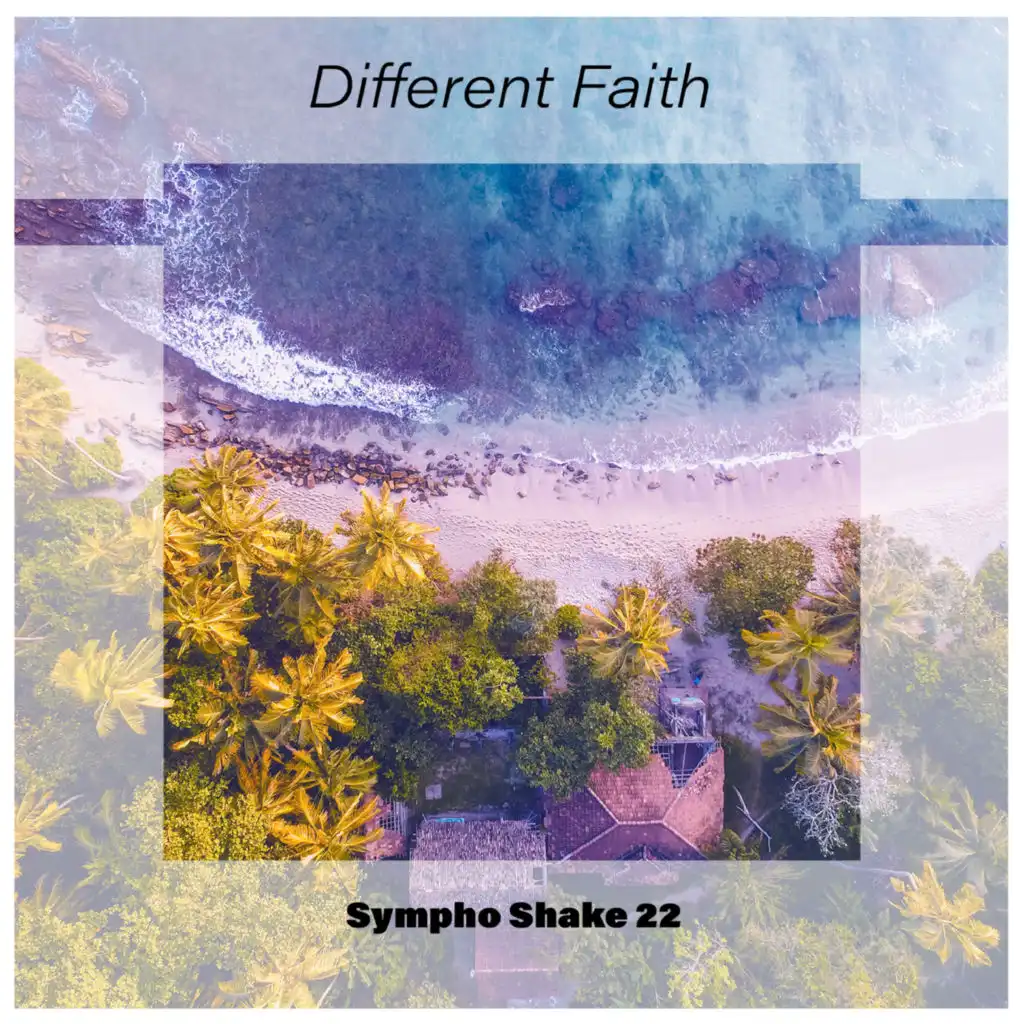 Different Faith Sympho Shake 22