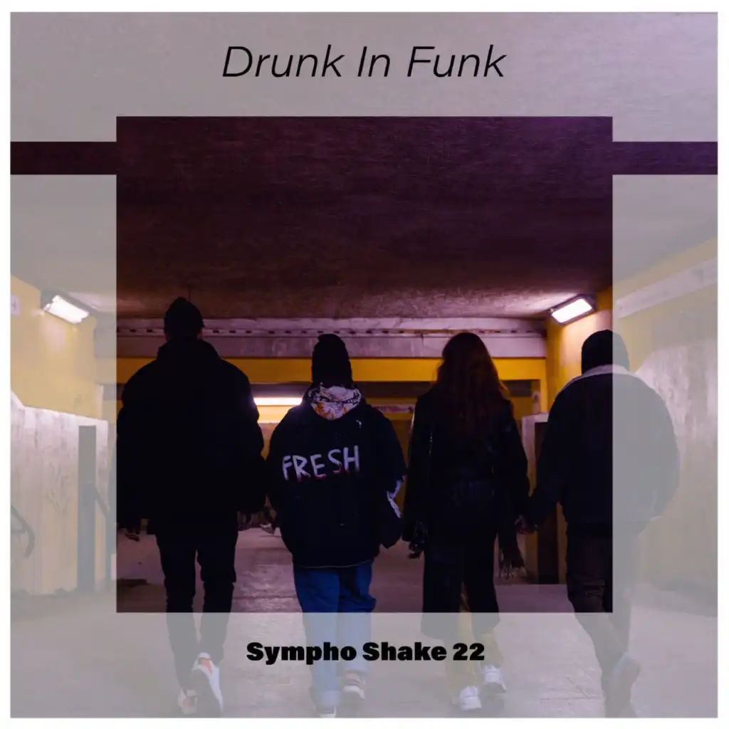 Drunk In Funk Sympho Shake 22