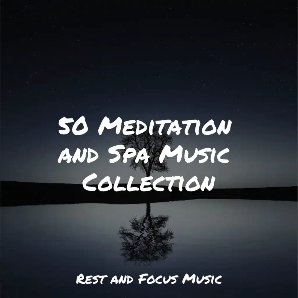 50 Meditation and Spa Music Collection