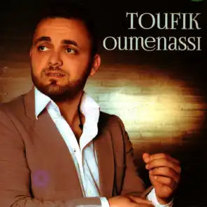 Toufik Oumenassi