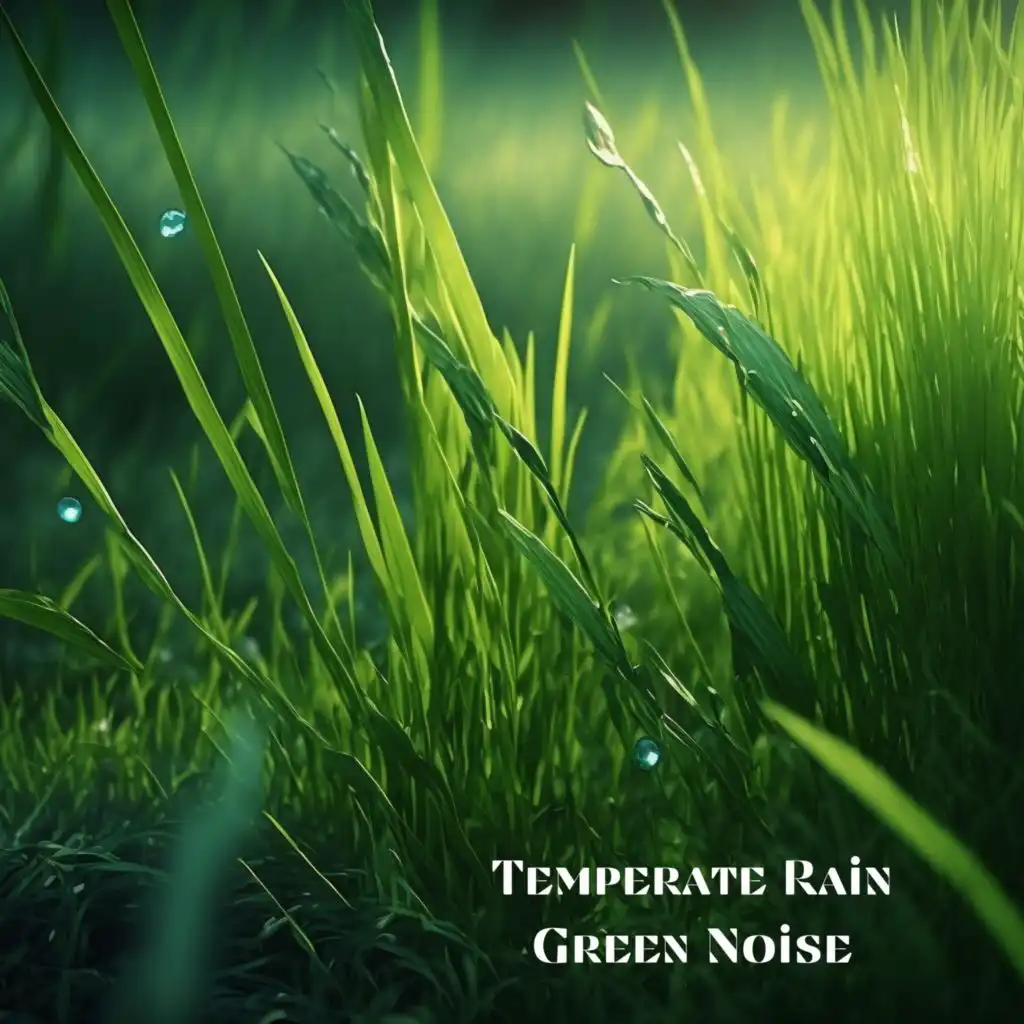 Cypress Grove Noise