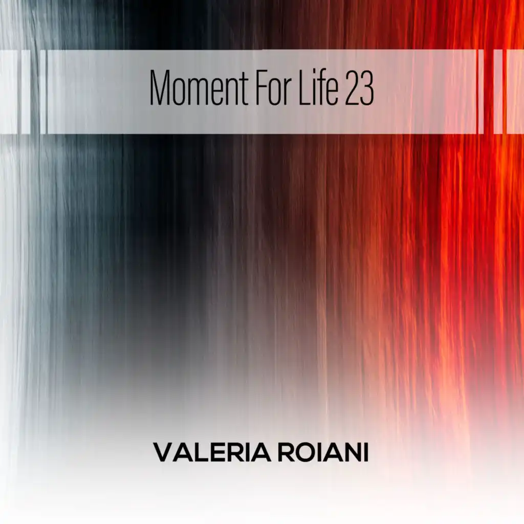 Moment For Life 23