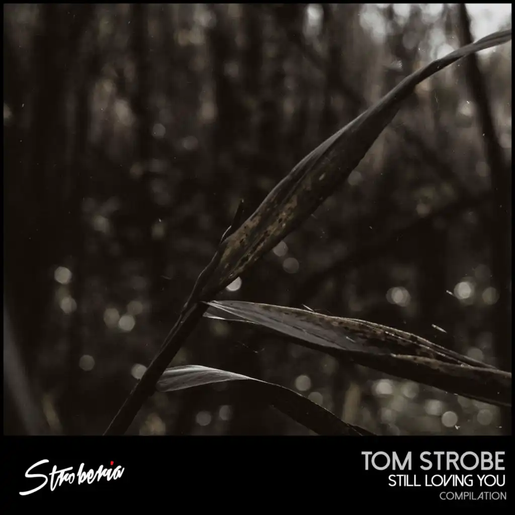 Save the World (AUTUMN STORM & Tom Strobe Remix)