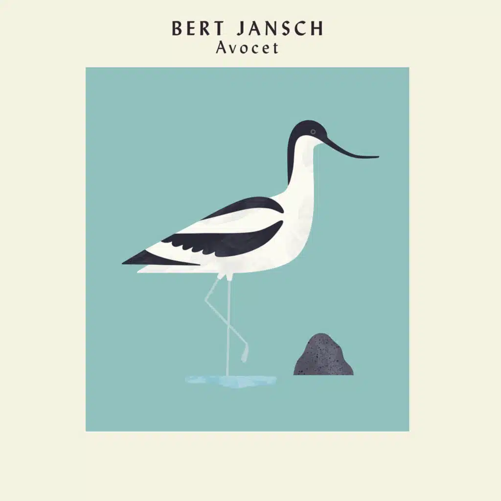 Bittern (feat. Martin Jenkins)