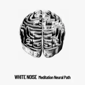 White Noise: Meditation Neural Path