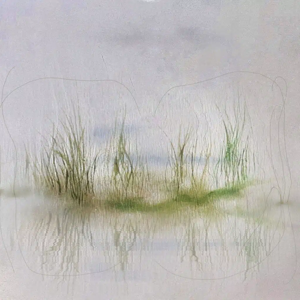 moor