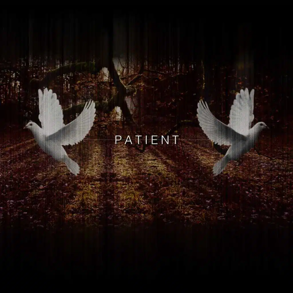 Patient (feat. Shiloh Dynasty)