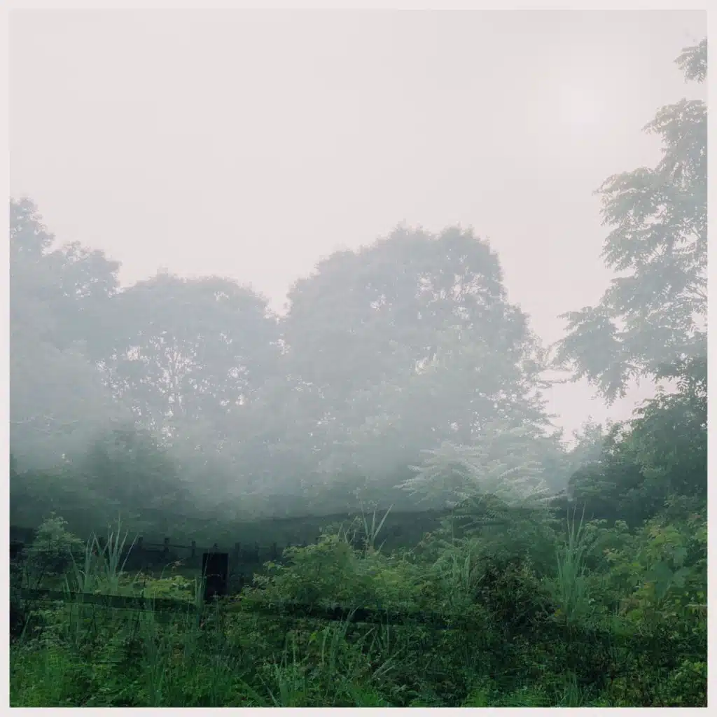 riseatsunset (sunbeam rework)