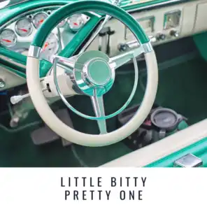 Little Bitty Pretty One