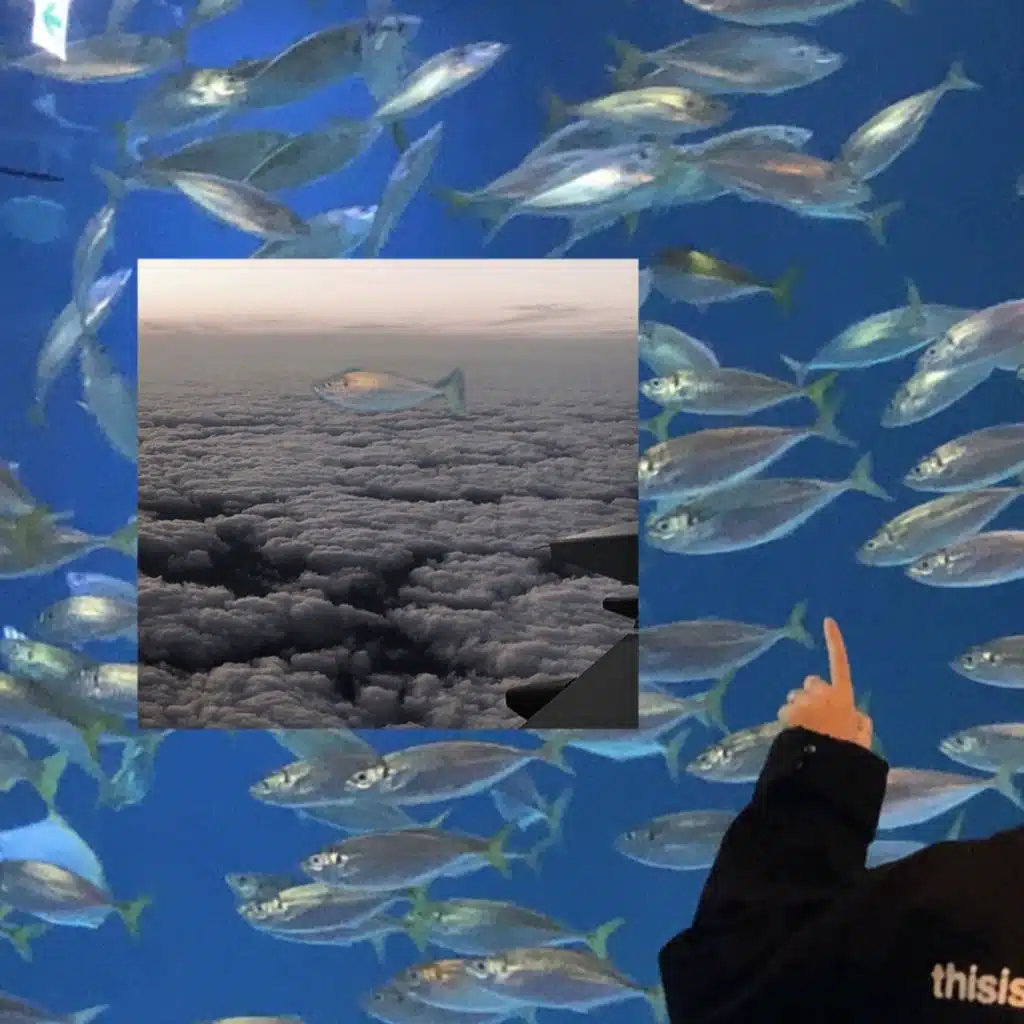 Fishing on the cloud