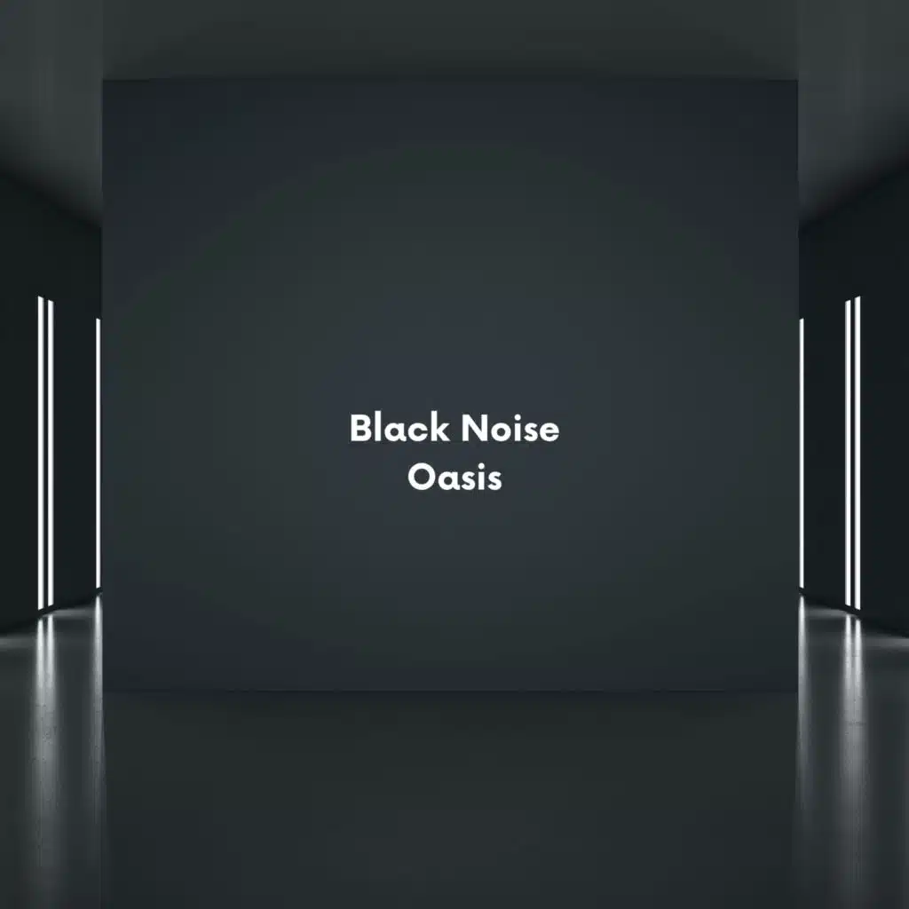 Black Noise Oasis