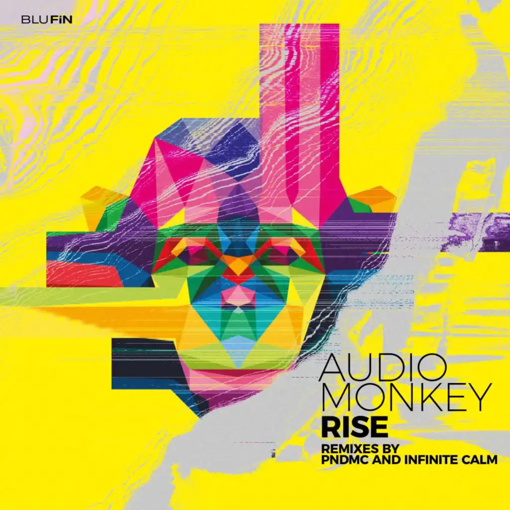 Rise (Pndmc Remix)