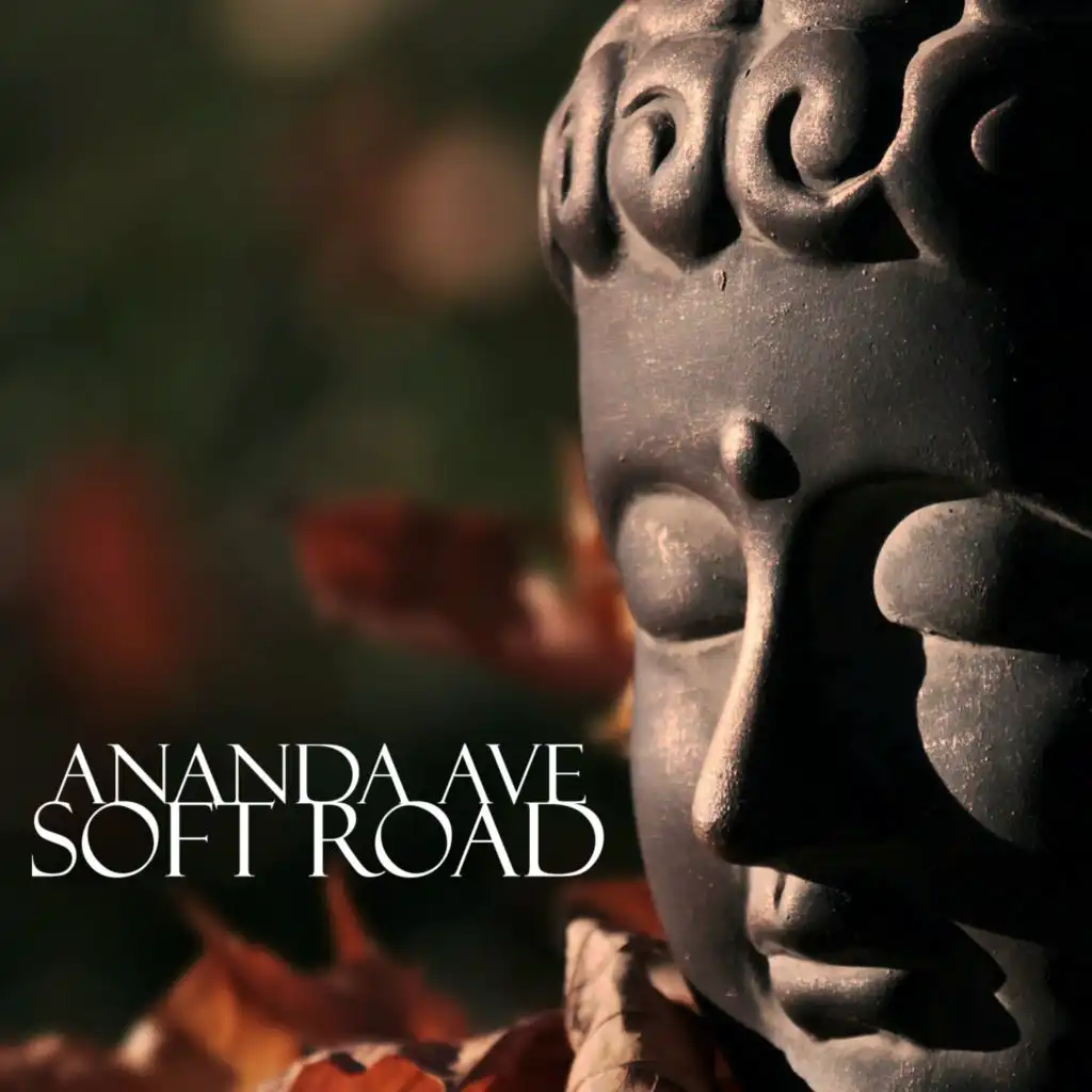 Soft Road