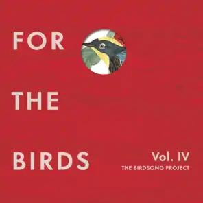 For the Birds: The Birdsong Project, Vol. IV