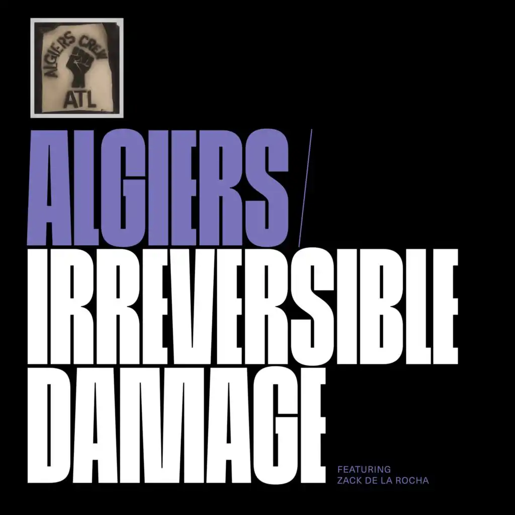 Irreversible Damage (feat. Zack De La Rocha)