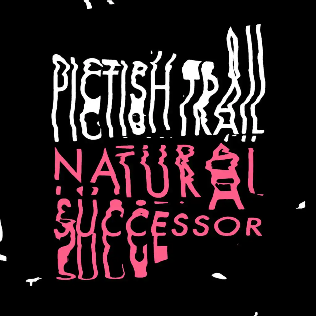 Natural Successor (Edit)