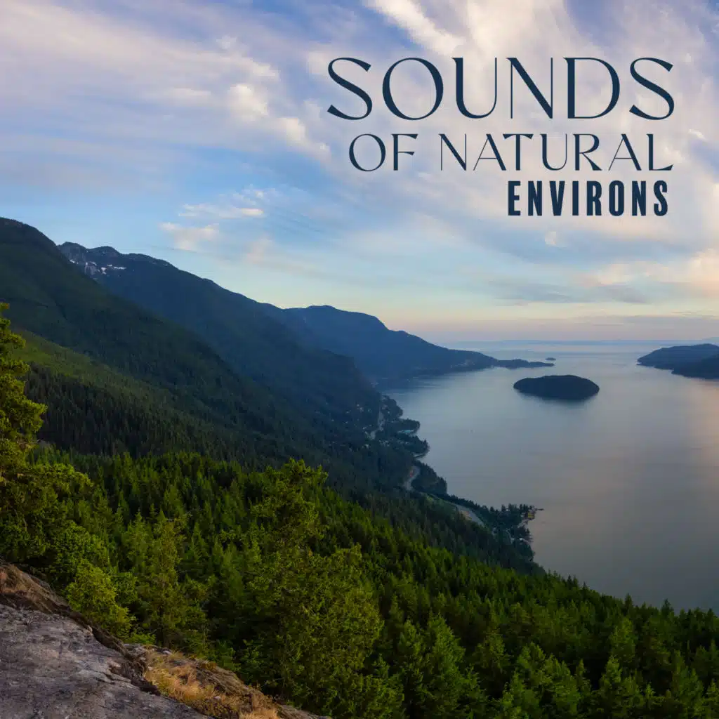Nature Sounds Universe