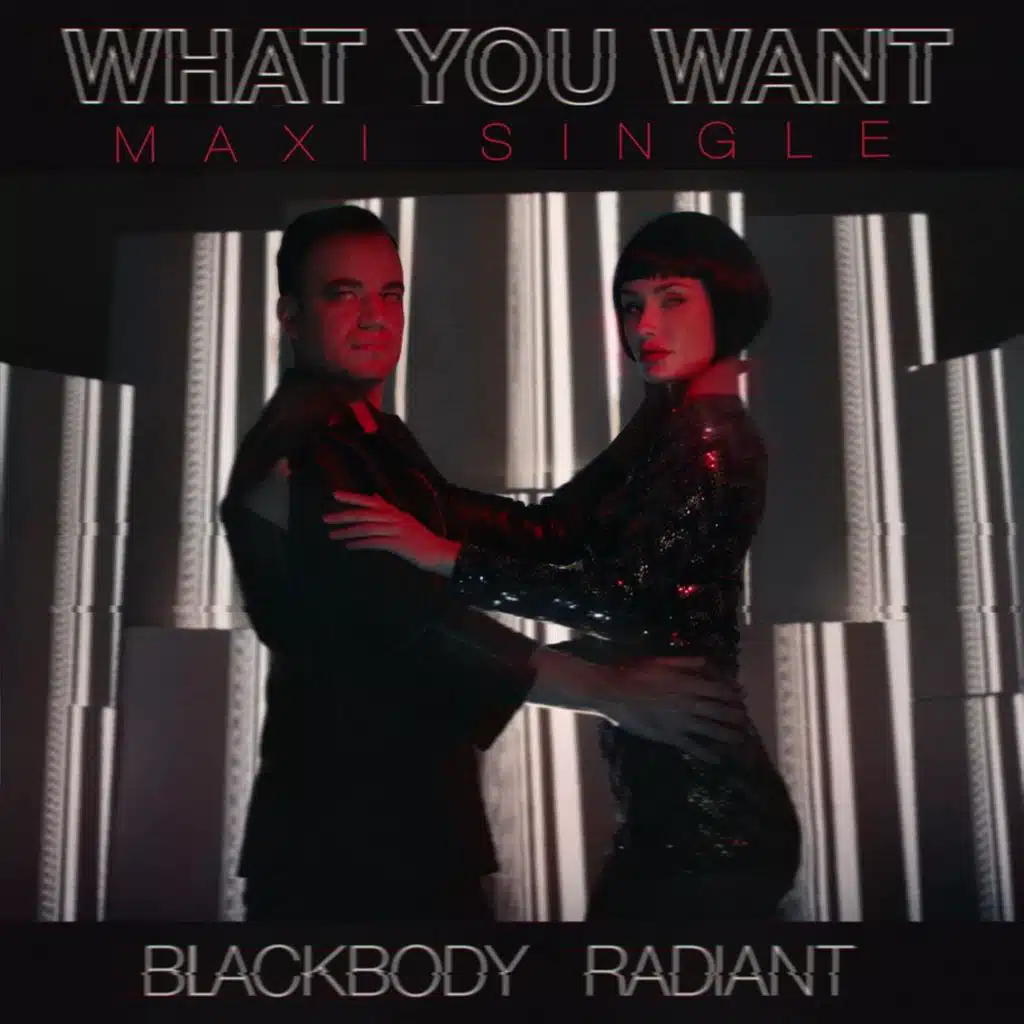 What You Want - Maxi Single