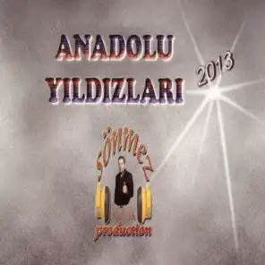 Anadolu Yıldızları (2013)