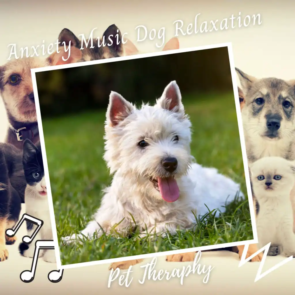 Pet Therapy: Anxiety Music Dog Relaxation