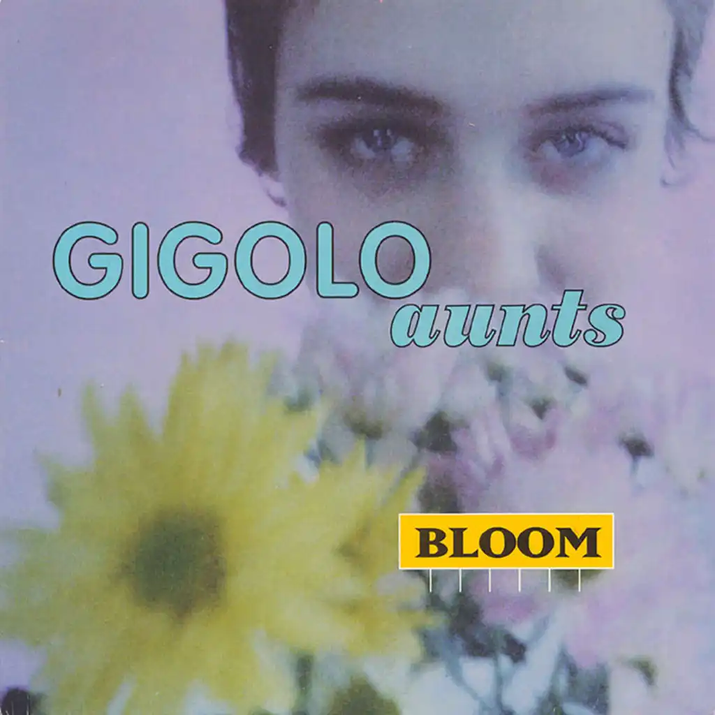 Full-On Bloom