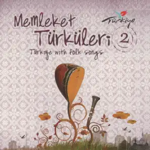 Memleket Türküleri, Vol. 2 (Türkiye with Folk Songs)