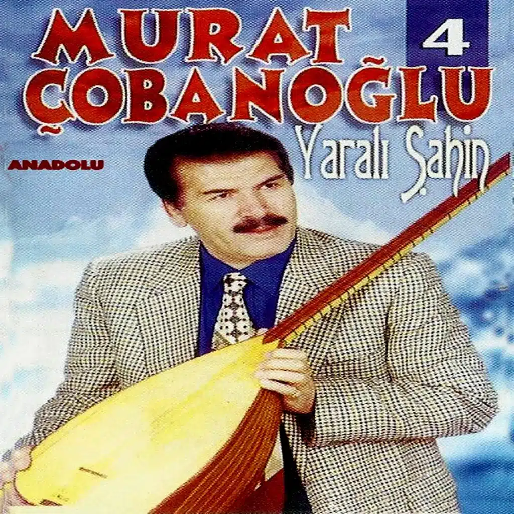 Yaralı Şahin (Murat Çobanoğlu, Vol. 4)
