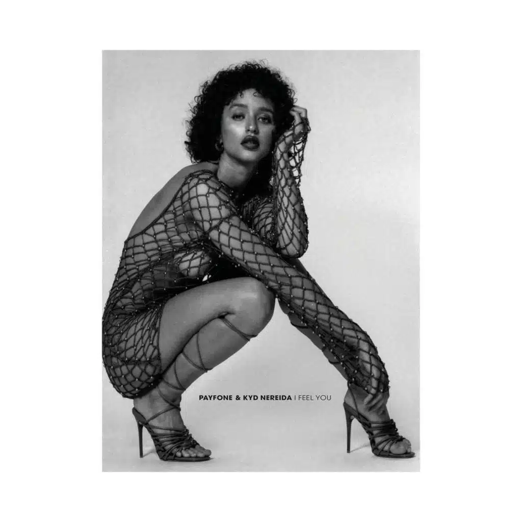 I Feel You (Mudd Remix)