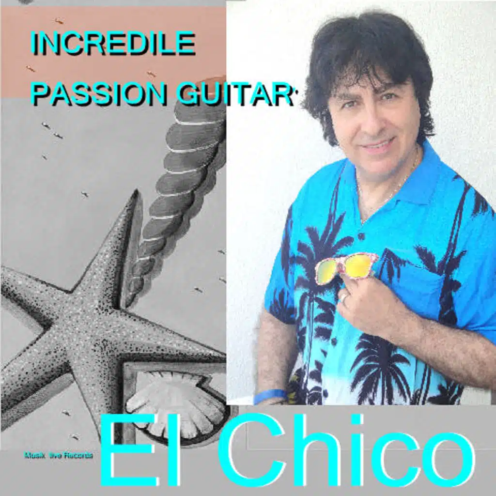 Incredible Guitar Passion