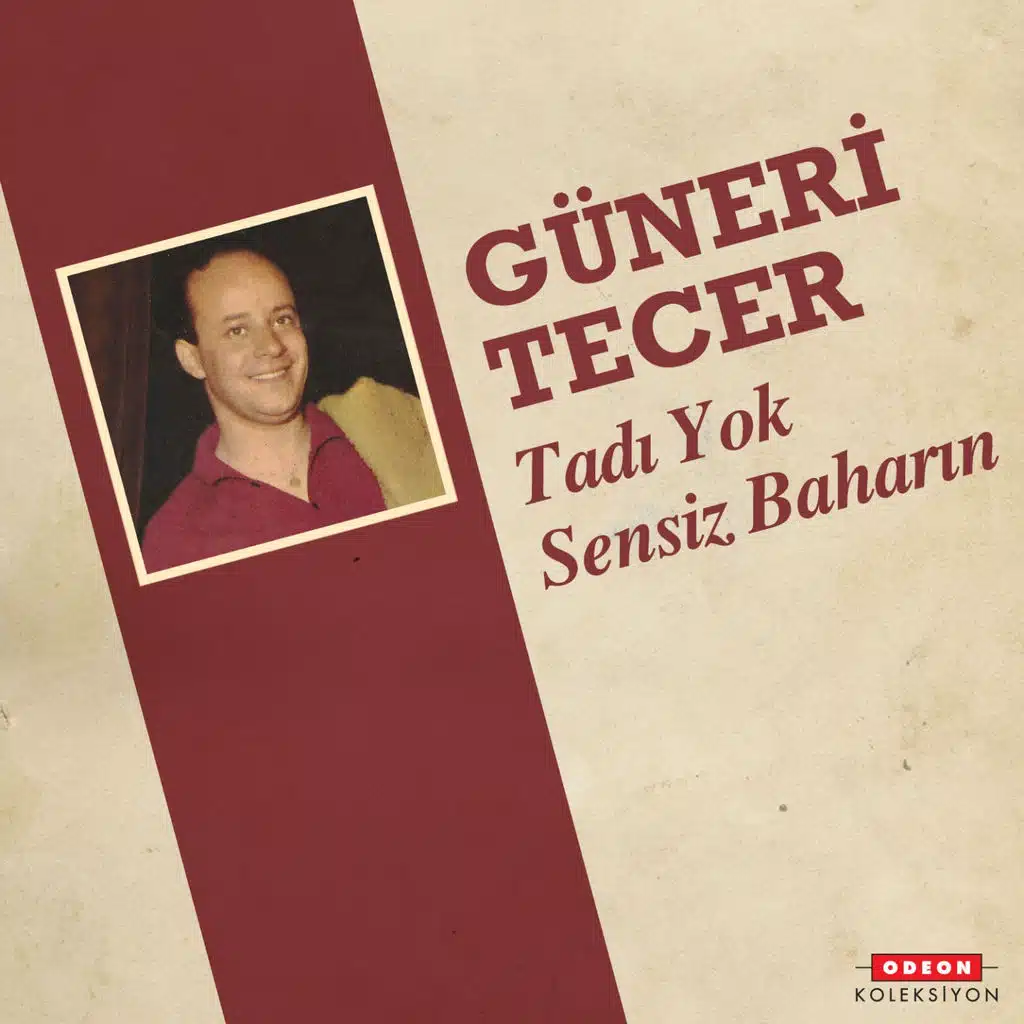 Tadı Yok Sensiz Baharın