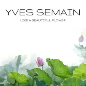 Yves Semain