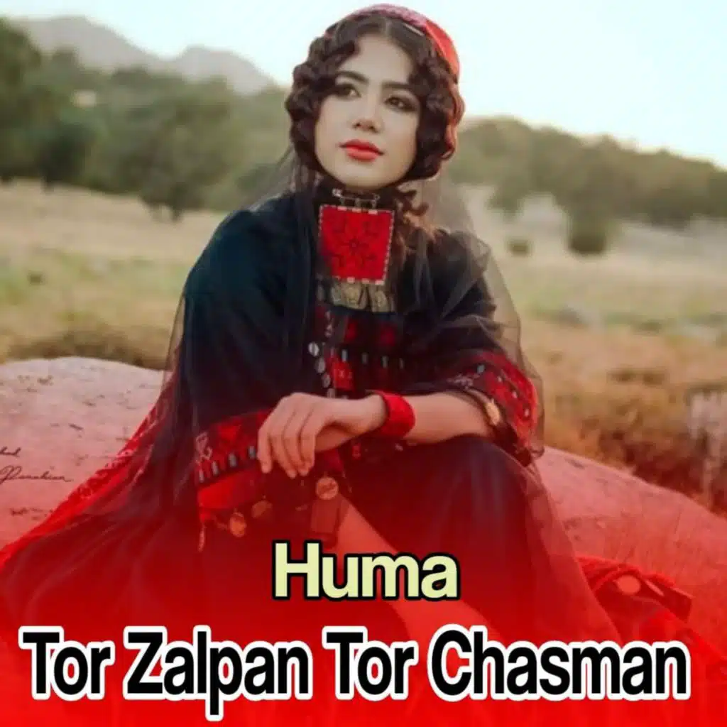 Tor Zalpan Tor Chasman