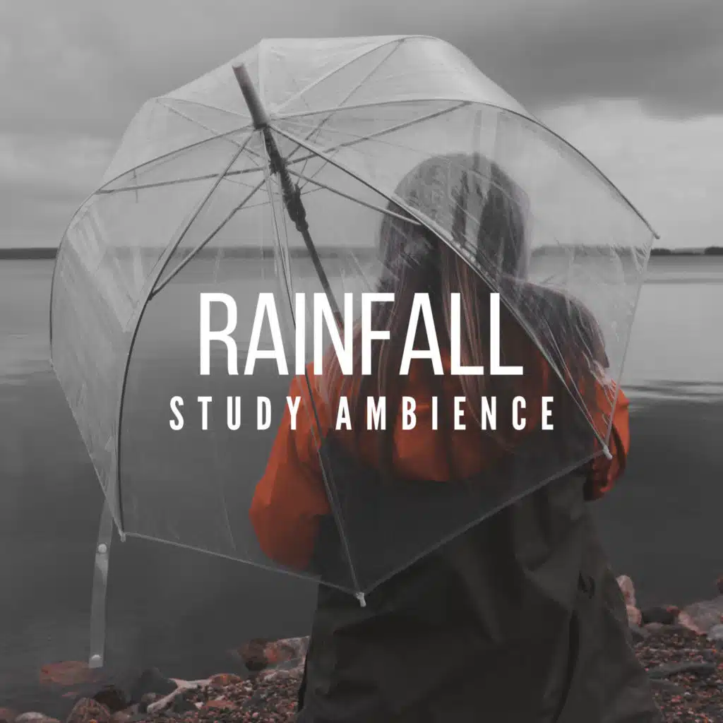 Rainfall Study Ambience: Relaxing Music to Study, BGM Study Zone