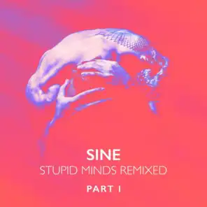 Stupid Minds (Silky Wave Remix)