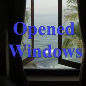 Opened Windows