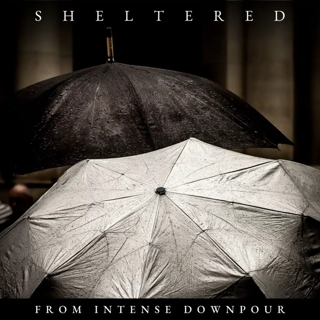 Sheltered from Intense Downpour